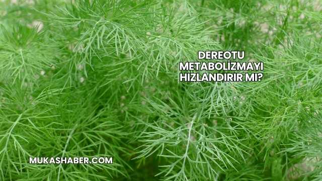 Dereotu Metabolizmayı Hızlandırır mı?