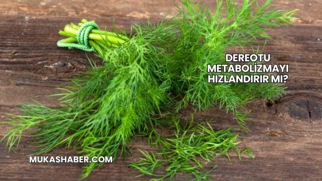 Dereotu Metabolizmayı Hızlandırır mı?