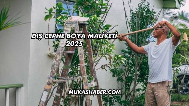 Dış Cephe Boya Maliyeti 2025