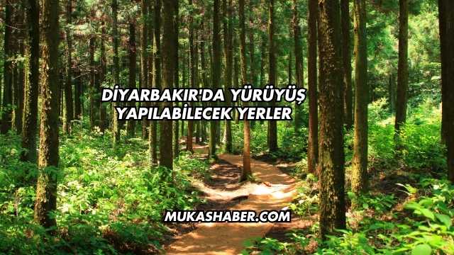 Diyarbakır'da Yürüyüş Yapılabilecek Yerler