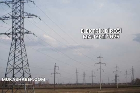 Elektrik Direği Maliyeti 2025