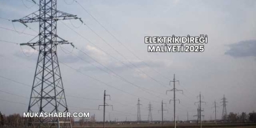 Elektrik Direği Maliyeti 2025