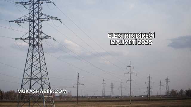 Elektrik Direği Maliyeti 2025