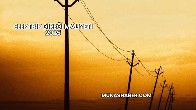Elektrik Direği Maliyeti 2025