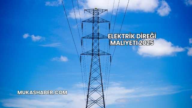 Elektrik Direği Maliyeti 2025