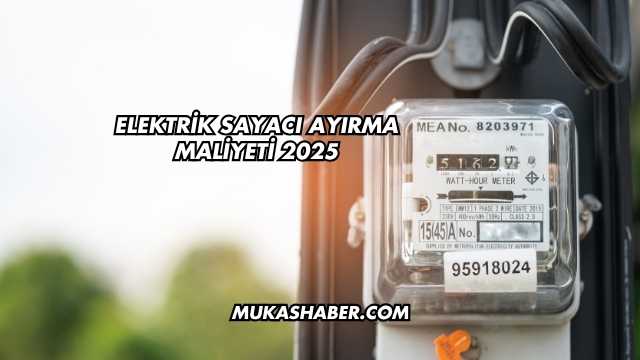 Elektrik Sayacı Ayırma Maliyeti 2025