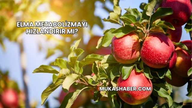 Elma Metabolizmayı Hızlandırır mı?