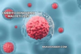 Embriyo Dondurma Maliyeti 2025