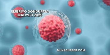 Embriyo Dondurma Maliyeti 2025