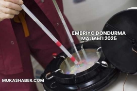 Embriyo Dondurma Maliyeti 2025