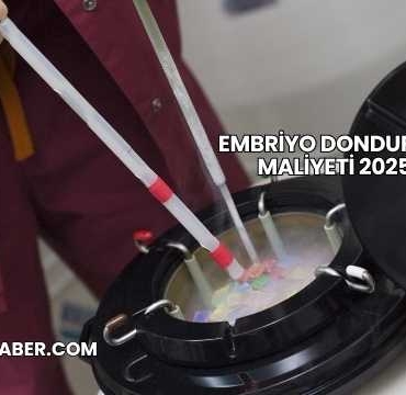 Embriyo Dondurma Maliyeti 2025