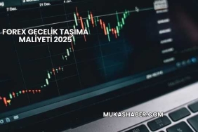 Forex Gecelik Taşıma Maliyeti 2025