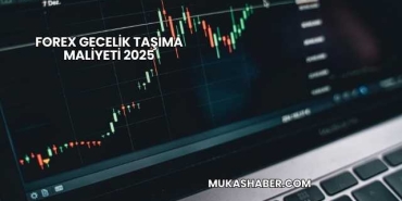 Forex Gecelik Taşıma Maliyeti 2025