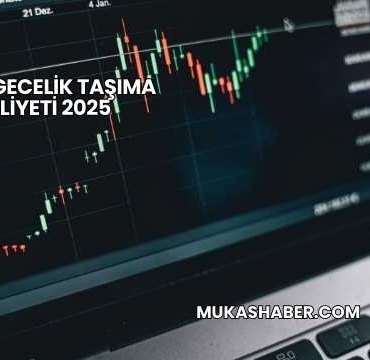 Forex Gecelik Taşıma Maliyeti 2025