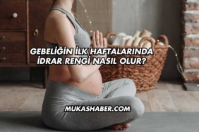 Gebeliğin İlk Haftalarında İdrar Rengi Nasıl Olur?