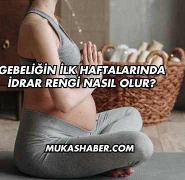Gebeliğin İlk Haftalarında İdrar Rengi Nasıl Olur?