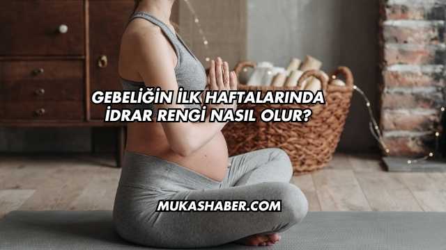 Gebeliğin İlk Haftalarında İdrar Rengi Nasıl Olur?