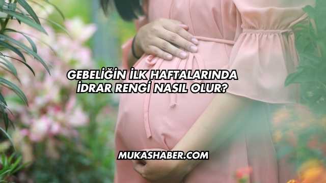 Gebeliğin İlk Haftalarında İdrar Rengi Nasıl Olur?