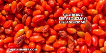 Goji Berry Metabolizmayı Hızlandırır mı?