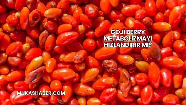 Goji Berry Metabolizmayı Hızlandırır mı?