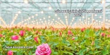 Gül Yetiştiriciliği Maliyeti 2025
