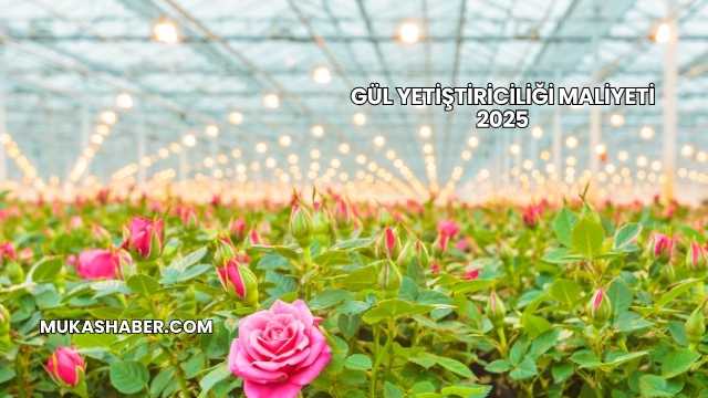 Gül Yetiştiriciliği Maliyeti 2025