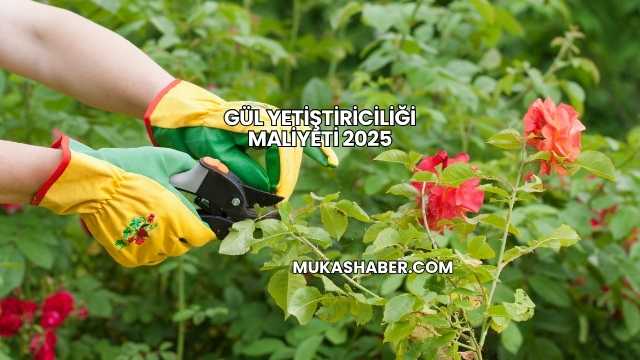 Gül Yetiştiriciliği Maliyeti 2025
