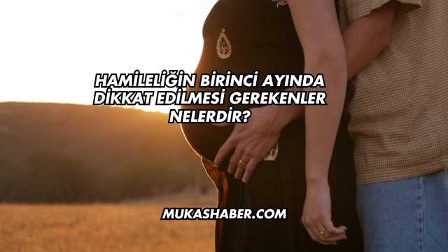 Hamileliğin İlk Aylarında Cinsellik Tehlikeli mi?