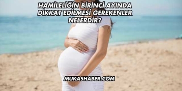 Hamileliğin Birinci Ayında Dikkat Edilmesi Gerekenler Nelerdir?