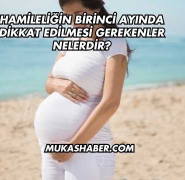 Hamileliğin Birinci Ayında Dikkat Edilmesi Gerekenler Nelerdir?
