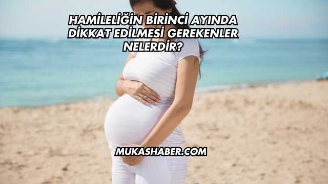 Hamileliğin Birinci Ayında Dikkat Edilmesi Gerekenler Nelerdir?