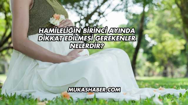 Hamileliğin Birinci Ayında Dikkat Edilmesi Gerekenler Nelerdir?