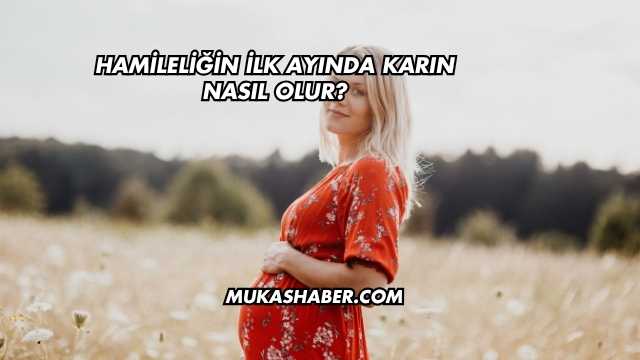 Hamileliğin İlk Ayında Karın Nasıl Olur?