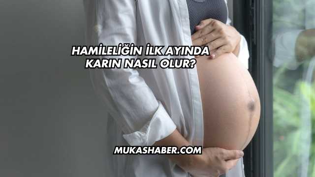Hamileliğin İlk Ayında Karın Nasıl Olur?