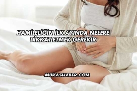 Hamileliğin İlk Ayında Nelere Dikkat Etmek Gerekir