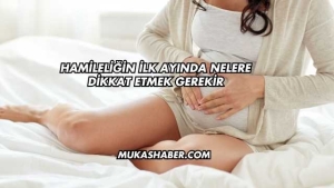 Hamileliğin İlk Ayında Nelere Dikkat Etmek Gerekir