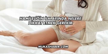 Hamileliğin İlk Ayında Nelere Dikkat Etmek Gerekir