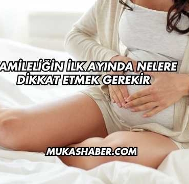 Hamileliğin İlk Ayında Nelere Dikkat Etmek Gerekir