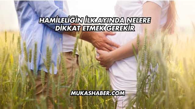 Hamileliğin İlk Ayında Nelere Dikkat Etmek Gerekir