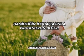 Hamileliğin İlk Haftasında Progesteron Değeri