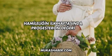 Hamileliğin İlk Haftasında Progesteron Değeri