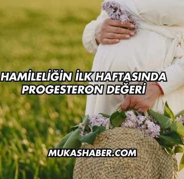 Hamileliğin İlk Haftasında Progesteron Değeri