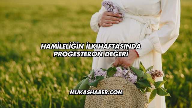 Hamileliğin İlk Haftasında Progesteron Değeri