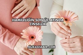 Hamileliğin Son Üç Ayında Cinsellik