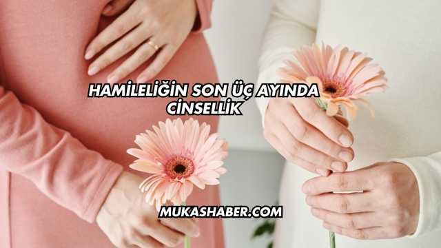 Hamileliğin Son Üç Ayında Cinsellik
