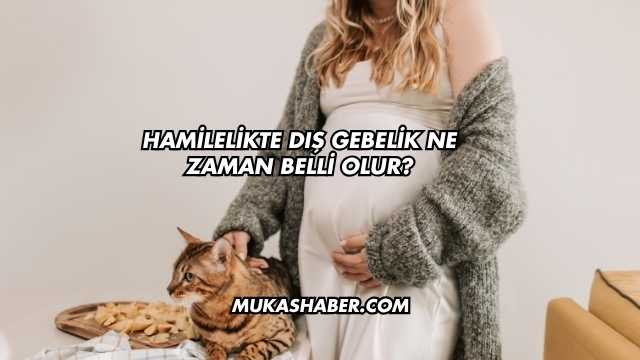 Hamilelikte Dış Gebelik Ne Zaman Belli Olur?