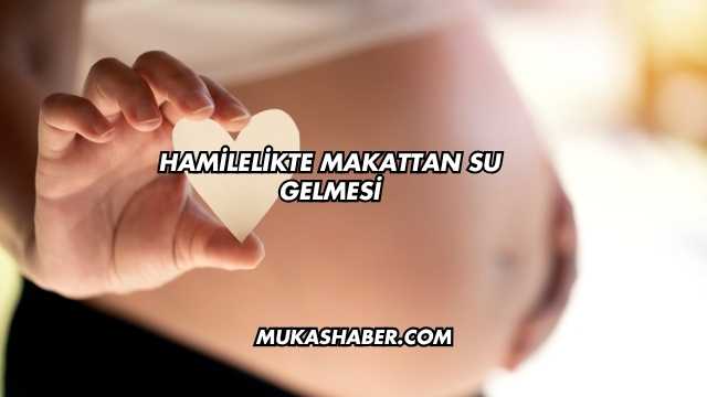 Hamilelikte Makattan Su Gelmesi