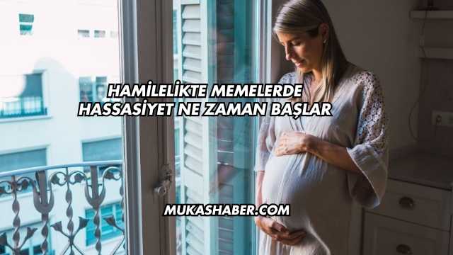 Hamilelikte Memelerde Hassasiyet Ne Zaman Başlar