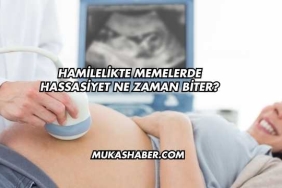 Hamilelikte Memelerde Hassasiyet Ne Zaman Biter?