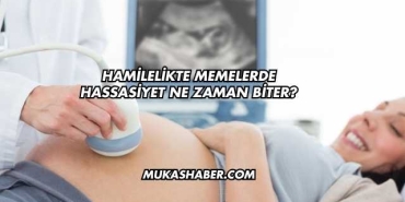 Hamilelikte Memelerde Hassasiyet Ne Zaman Biter?